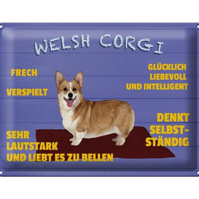 Targa in metallo con scritta 40x30 cm Welsh Corgi cane sfacciato e giocoso