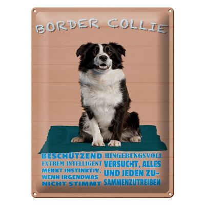 Targa in metallo con scritta 30x40 cm Border Collie cane intelligente