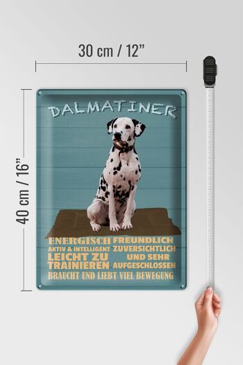 Plaque en tôle disant Chien dalmatien 30x40cm énergiquement actif 4