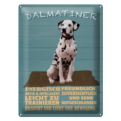 Blechschild Spruch 30x40cm Dalmatiner Hund energisch aktiv