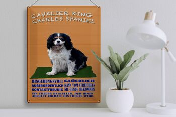 Panneau en étain disant 30x40cm, panneau orange Cavalier King Charles Spaniel 3