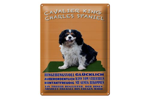 Blechschild Spruch 30x40cm Cavalier King Charles Spaniel oranges Schild