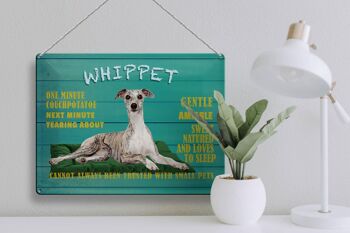 Plaque en étain disant 40x30cm Chien Whippet doux et aimable 3