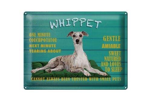Blechschild Spruch 40x30cm Whippet Hund gentle amiable