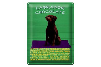 Panneau en étain disant 30x40cm, panneau vert Labrador Chocolate Dog 1