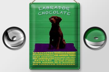 Panneau en étain disant 30x40cm, panneau vert Labrador Chocolate Dog 2