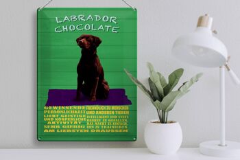 Panneau en étain disant 30x40cm, panneau vert Labrador Chocolate Dog 3