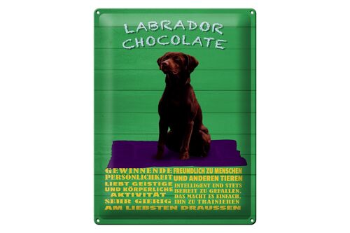 Blechschild Spruch 30x40cm Labrador Chocolate Hund grünes Schild