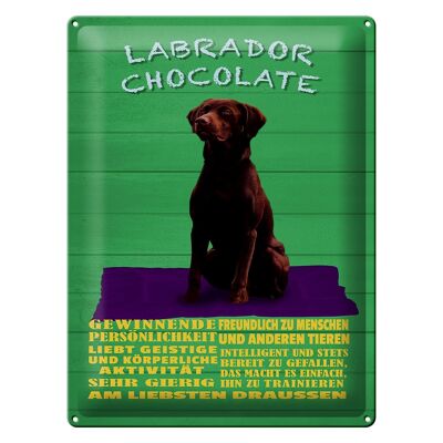 Blechschild Spruch 30x40cm Labrador Chocolate Hund grünes Schild
