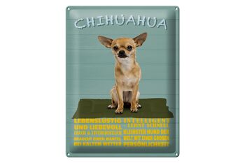 Plaque en tôle disant 30x40cm Chien Chihuahua qui aime s'amuser 1