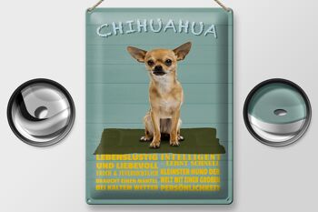 Plaque en tôle disant 30x40cm Chien Chihuahua qui aime s'amuser 2