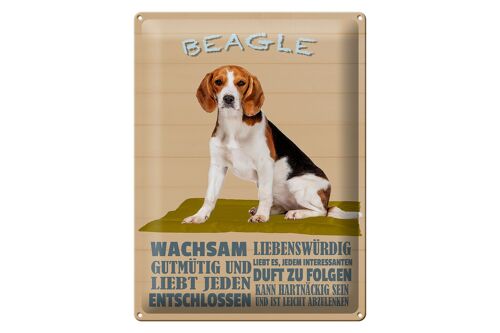 Blechschild Spruch 30x40cm Beagle Hund gutmütig liebt jeden