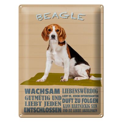 Targa in metallo con scritta 30x40 cm Il cane Beagle di buon carattere ama tutti