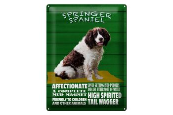 Panneau en étain indiquant 30x40 cm Springer Spaniel chien amical 1