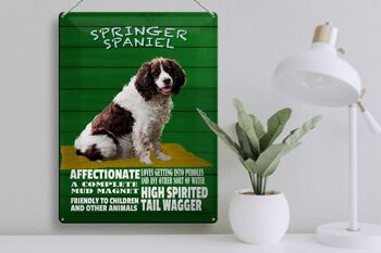 Panneau en étain indiquant 30x40 cm Springer Spaniel chien amical 3