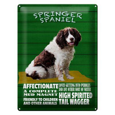 Blechschild Spruch 30x40cm Springer Spaniel Hund friendly