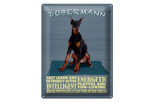 Blechschild Spruch 30x40cm Dobermann Hund fast learn and