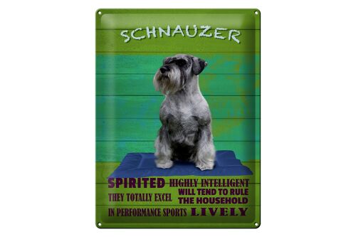 Blechschild Spruch 30x40cm Schnauzer Hund highly inelligent