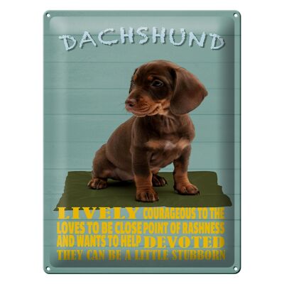 Blechschild Spruch 30x40cm Dachshund Hund lively devoted