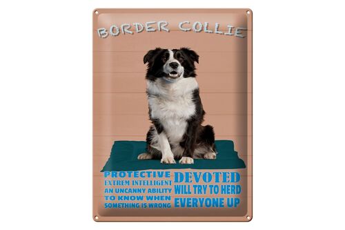 Blechschild Spruch 30x40cm Border Collie Hund protective