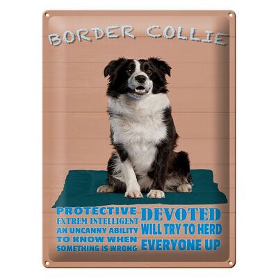 Blechschild Spruch 30x40cm Border Collie Hund protective