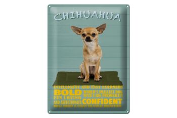 Panneau en étain disant 30x40cm Chihuahua dog bold confiant 1