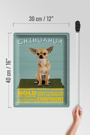 Panneau en étain disant 30x40cm Chihuahua dog bold confiant 4
