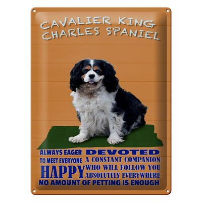 Targa in latta con scritta 30x40 cm Cavalier King Charles Spaniel