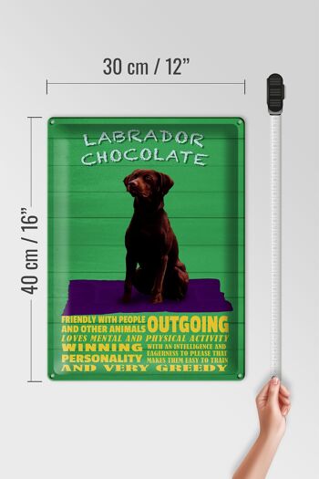 Plaque en tôle indiquant 30x40cm Labrador Chocolate Dog 4