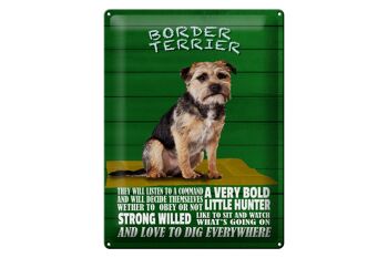 Panneau en étain indiquant 30x40cm Border Terrier Dog a very bold 1