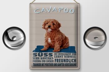 Panneau en étain disant 30x40cm Cavapoo dog sweet friendly 2