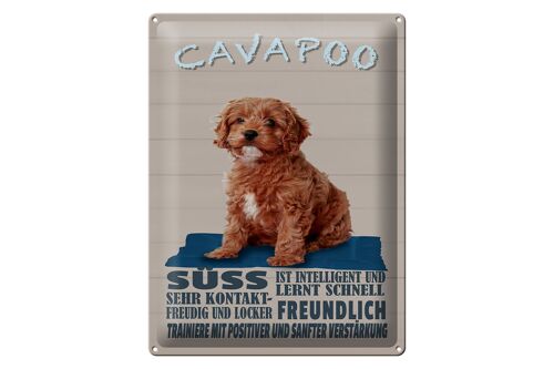 Blechschild Spruch 30x40cm Cavapoo Hund süss freundlich
