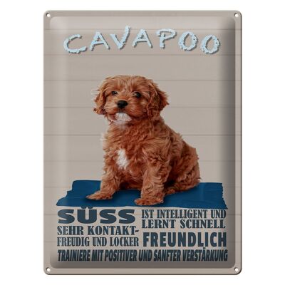 Cartel de chapa que dice 30x40cm Perro Cavapoo dulce y amigable