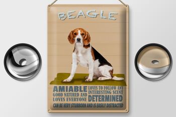Panneau en étain indiquant que le chien Beagle aime suivre n'importe qui, 30x40 cm 2