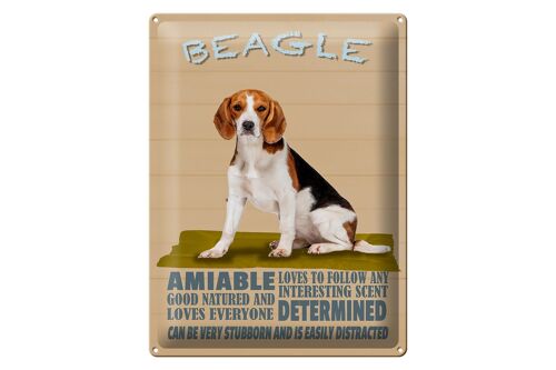 Blechschild Spruch 30x40cm Beagle Hund loves to follow any