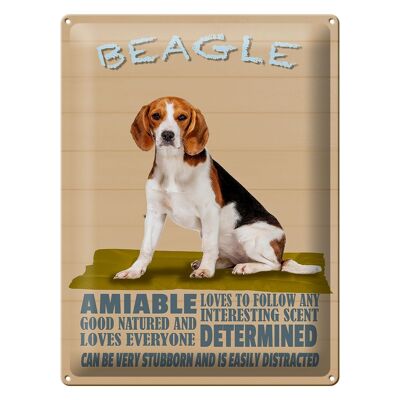 Targa in metallo con scritta 30x40 cm Il cane Beagle ama seguire chiunque