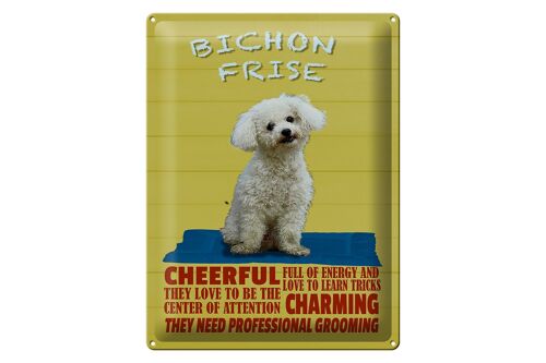 Blechschild Spruch 30x40cm Hund Bichon Frise cheerful
