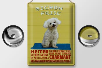 Plaque en tôle 30x40cm chien Bichon Frise charmant 2