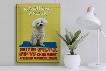 Plaque en tôle 30x40cm chien Bichon Frise charmant 3