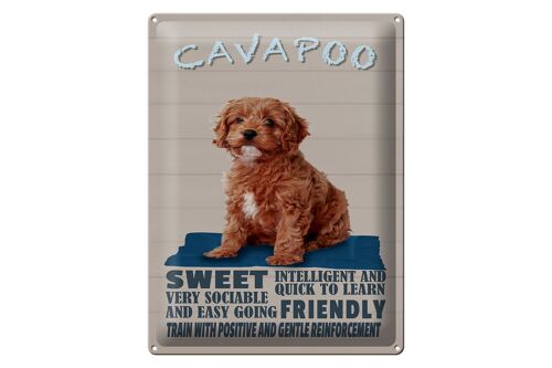 Blechschild Spruch 30x40cm Cavapoo Hund sweet friendly