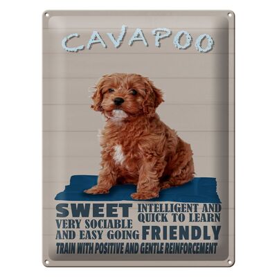 Cartel de chapa que dice 30x40cm Perro Cavapoo dulce y amigable