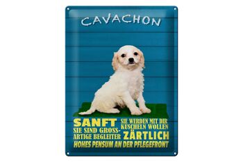 Plaque en tôle disant 30x40cm Chien Cavachon tendrement tendre 1