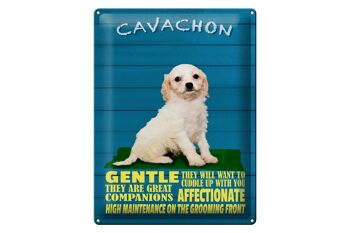 Plaque en tôle disant 30x40cm Chien Cavachon doux affectueux 1