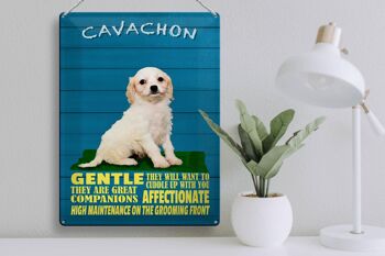 Plaque en tôle disant 30x40cm Chien Cavachon doux affectueux 3