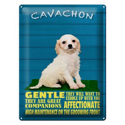 Plaque en tôle disant 30x40cm Chien Cavachon doux affectueux