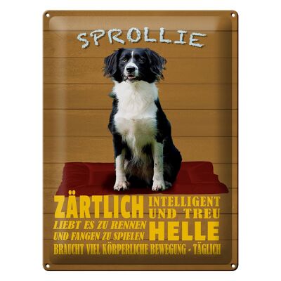 Targa in metallo con scritta 30x40 cm Sprollie cane tenero e leale
