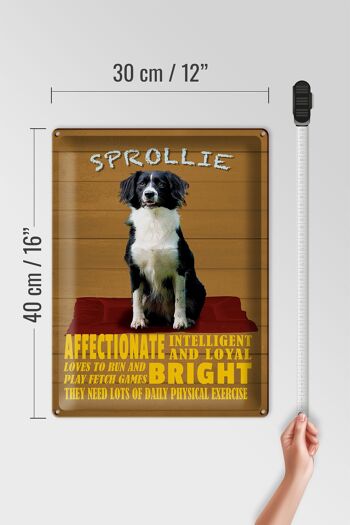 Panneau en étain indiquant 30x40cm Sprollie Dog Intelligent Loyal 4