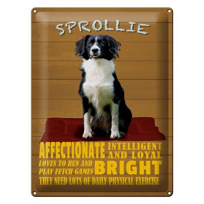 Targa in metallo con scritta 30x40 cm Sprollie cane intelligente leale