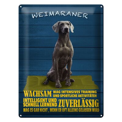 Cartel de chapa que dice 30x40cm Perro Weimaraner alerta rápidamente