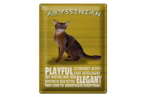 Blechschild Spruch 30x40cm Abyssinian Katze playful elegant